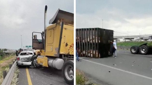 Tráiler choca en Circuito Exterior Mexiquense vuelca caja con cerdos