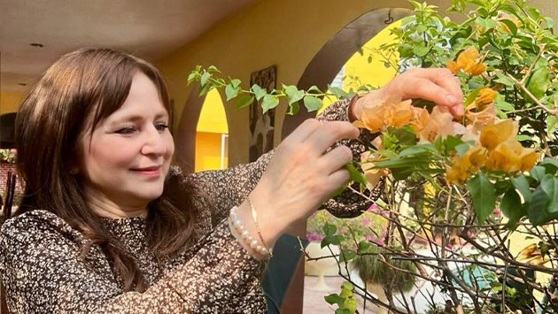 Rosalinda L Pez Hern Ndez Gan Un Lugar En El Senado Antes De Morir